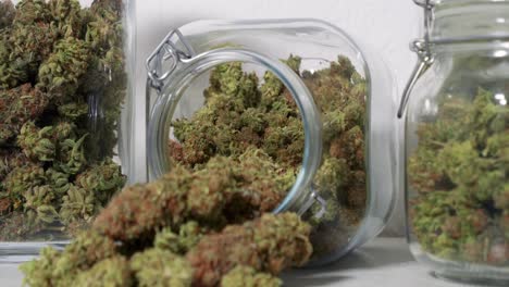 Dolly-Shot-Von-Geernteten-Cannabisblüten-In-Gläsern-Vor-Weißem-Hintergrund