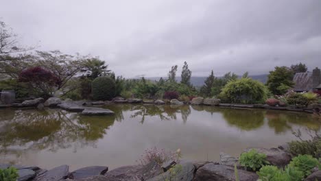 timelapse-of-the-pond-in-queenstown-stoneridge-estate-beautiful-garden