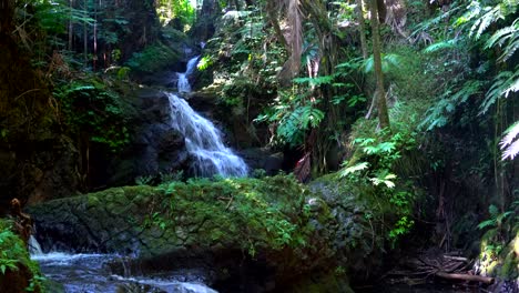 Onomea-Falls-cascading-through-ancient-lava-rocks-on-the-lush-green-rainforest-of-Hawaii's-Botanical-Gardens-in-Hilo,-Big-Island