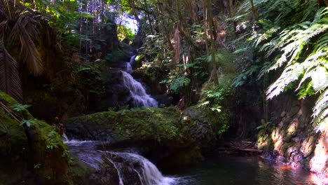 Onomea-Falls-cascading-through-ancient-lava-rocks-on-the-lush-green-rainforest-of-Hawaii's-Botanical-Gardens-in-Hilo,-Big-Island-