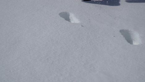 The-first-footprint-on-clean-snow