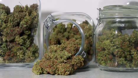 Dolly-shot-of-harvested-cannabis-blooms-in-jars-in-front-of-a-white-background