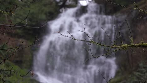 Waterfall-in-Lush-Green-Rainforest