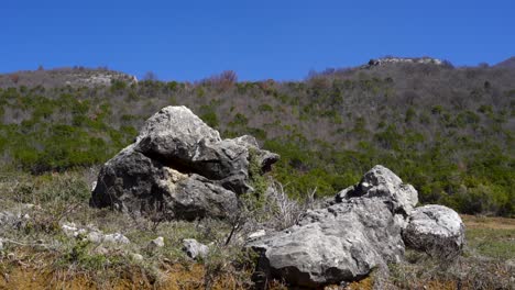 Rocks-with-beautiful-granite-caved-surface-on-mountain-background-with-trees-forest-under-bright-blue-sky-in-Spring