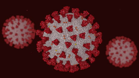 Animation-of-three-cells-infected-with-Novel-Coronavirus