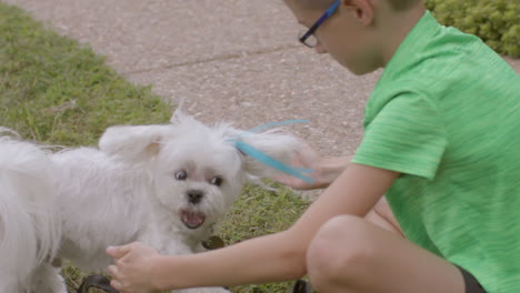 A-cute-little-boy-plays-with-his-dog-outside-in-the-front-yard,-over-the-shoulder-and-in-slow-motion