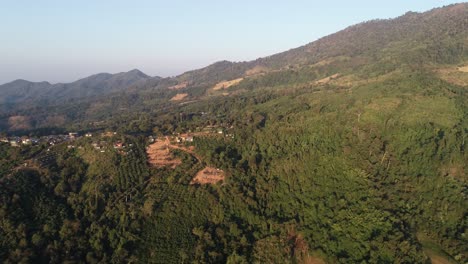 Wonderful-Nature-In-Thailand-With-Various-Of-Trees-On-A-Bright-Sunny-Day---Aerial-Shot