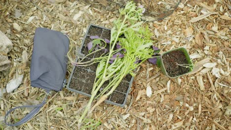 garden-workshop-planting-shot-of-messenger-bag-and-some-plants-taking-home-trophy