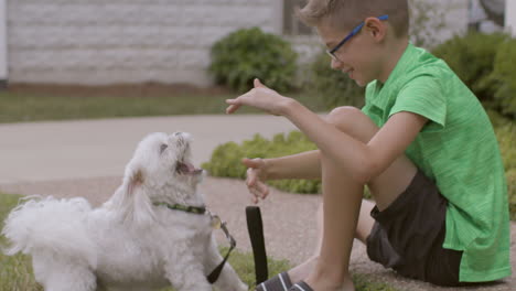 Cute-boy-plays-with-his-little-white-dog-outside-in-the-front-yard,-slow-motion