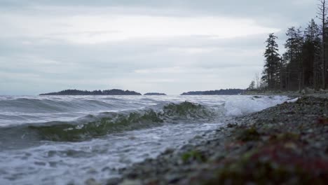 Small-waves-rolling-at-the-beach-near-the-forest-on-a-cloudy-day-in-Tofino