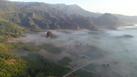 Die-Herrliche-Landschaft-Eines-Berges-Mit-Grünen-Bäumen-In-Thailand---Wunderbare-Natur---Luftaufnahme