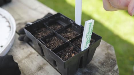 people-sowing-seeds-in-a-six-isolated-black-box