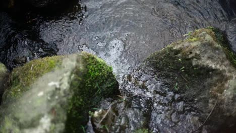 Moos-Auf-Dem-Felsen-In-Der-Nähe-Des-Baches-Und-Des-Kleinen-Wasserfalls