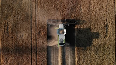 Aerial:-Combine-harvester-harvesting-a-field