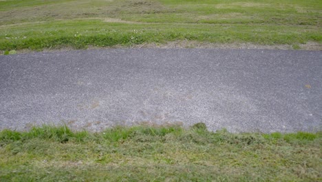 cement-road-between-the-grass-in-a-garden-in-the-park