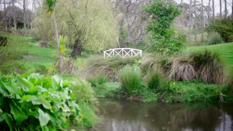 wide-shot-of-a-white-romantic-bridge-at-gracehill-wineyard
