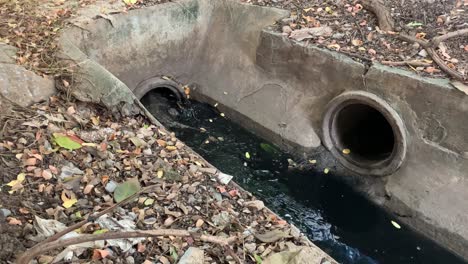 Asiatische-Monitoreidechse-Kriecht-In-Den-Kanal-Mit-Verschmutztem-Schwarzem-Schmutzwasser-In-Bangkok,-Thailand