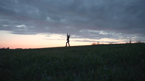 Girl-doing-cartwheels-and-dancing-in-the-sunset