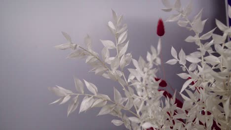 closeup-of-dry-flowers-white-leave