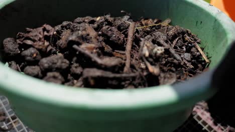 Samenaufzuchtmischung-Blattschimmel-Sieben-Des-Bodenkomposts-Grüne-Sieberbse