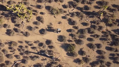 Top-down-ansichtsmuster-In-Der-Kalifornischen-Wüstenlandschaft,-Joshua-Tree,-Touristenreisende,-Die-Auf-Eine-Karte-Schauen