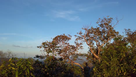 árboles-Y-Follaje-Contra-El-Cielo-Azul-Tranquilo-En-Las-Montañas-En-La-Costa-De-Tailandia
