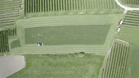 Tractor-mowing-meadow-aerial-top-view,-farmland-in-South-Tyrol