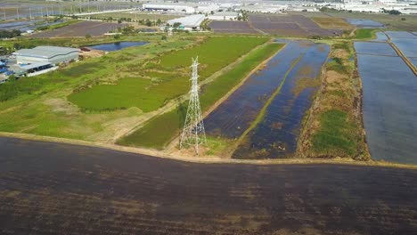 Aerial-orbit-over-flooded-cultivated-rice-paddy-farms-in-Thailand-with-power-lines