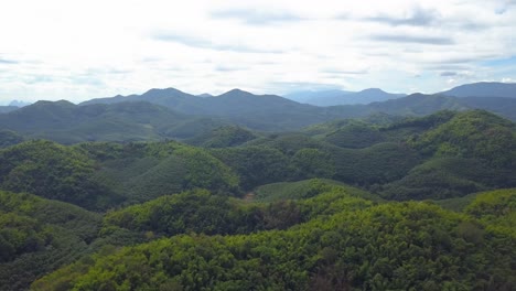 Scenic-View-Of-Lush-Green-Trees-In-Forest-Against-Mountain-Ranges-During-Cloudy-Day-In-Countryside-Of-Thailand