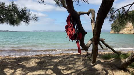 backpack-hanging-on-the-branch-by-the-sea