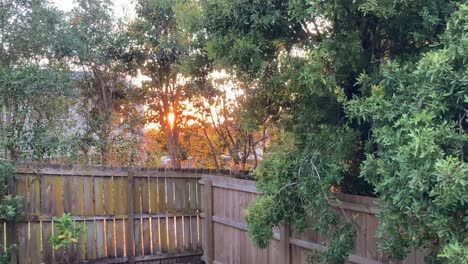 golden-hour-panning-shot-of-the-backyard