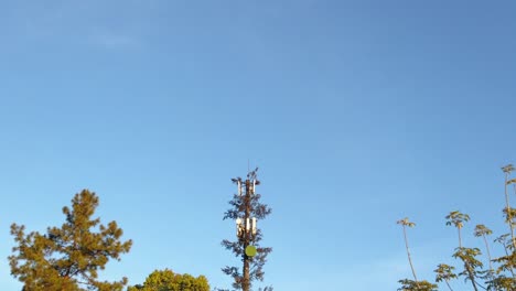Funkturm,-Getarnt-Als-Hoher-Baum-Gegen-Den-Strahlend-Blauen-Himmel-In-Thailand