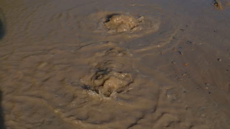 Muddy-water-bubbling-from-under-road-in-brown-dirty-puddle-due-to-pipe-burst