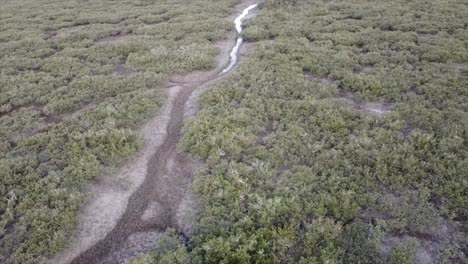 drone-showing-a-river-stream-and-the-wetland