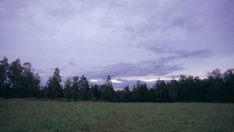 Zeitraffer-Des-Sonnenaufgangs-Mit-Verrückten-Farben-über-Einer-Wiese-Mit-Einem-Wald-Im-Hintergrund