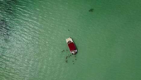 Bird's-eye-view-drone-shot-over-tourist-boat-in-the-sea-where-people-are-standing-in-the-green-sea-enjoying-the-water-this-small-waves