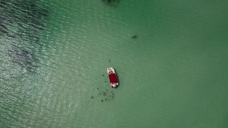 High-drone-shot-over-tourist-boat-in-the-sea-where-people-are-standing-in-the-green-sea-enjoying-the-water-this-small-waves