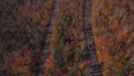 Curve-freeway-in-the-white-mountains-forest-during-autumn,-United-States