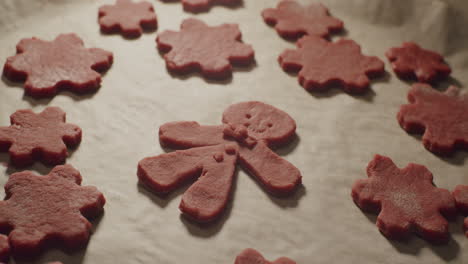 Gently-placing-uncooked-christmas-cookies-inside-a-tray,-baking-process-recipe