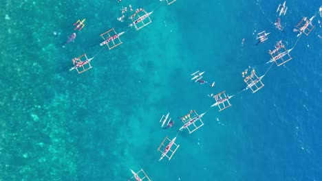 Top-down-aufnahme-Des-Berühmten-Walhais,-Der-Im-Wunderschönen-Türkisfarbenen-Meerwasser-Von-Cebu,-Philippinen,-Aufpasst