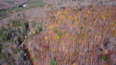 Aerial-view-of-a-dried-forest-during-autumn-in-the-White-Mountains,-New-Hampshire