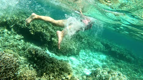 Young-woman-enjoying-snorkeling-above-the-beautiful-coral-reefs-and-crystalline-sea-water-in-shallow-part-from-Oslob-Cebu,-Philippines