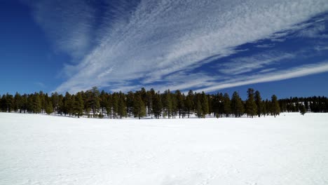Schönes-Flaches-Weißes-Feld-Mit-Einer-Reihe-Grüner-Kiefern-Und-Perfekter-Blauer-Himmel-Mit-Einem-Wolkenstreifen-Im-Bryce-Canyon-Utah-An-Einem-Warmen-Wintertag