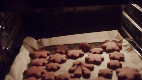 Taking-the-baked-cookies-out-of-the-kitchen-electric-oven,-still-shot-close-up