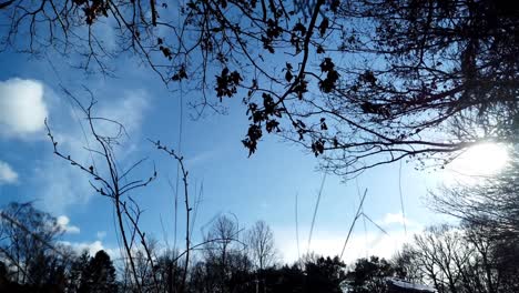 Daydreaming-under-a-tree,-Timelapse-through-bare-trees-of-dramatic-moving-clouds