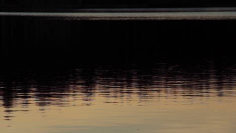 Close-up-of-pretty-dark-water-surface-and-ripples-from-a-lake-or-pond