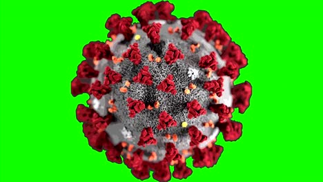 Coronavirus-Animation,-Grüner-Bildschirmhintergrund