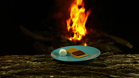 Plate-of-S'mores-on-a-log-in-front-of-a-fire