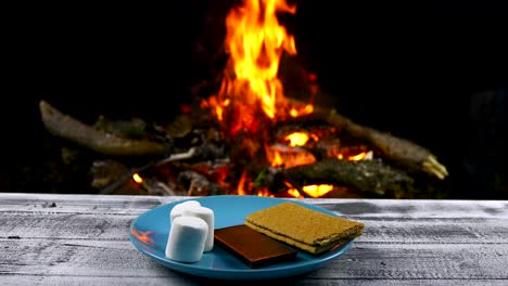 S'mores-in-front-of-a-fire-with-a-child-toasting-marshmallows-over-a-fire