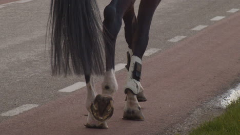 Horse's-feet-walking-over-road---close-up-in-slow-motion
